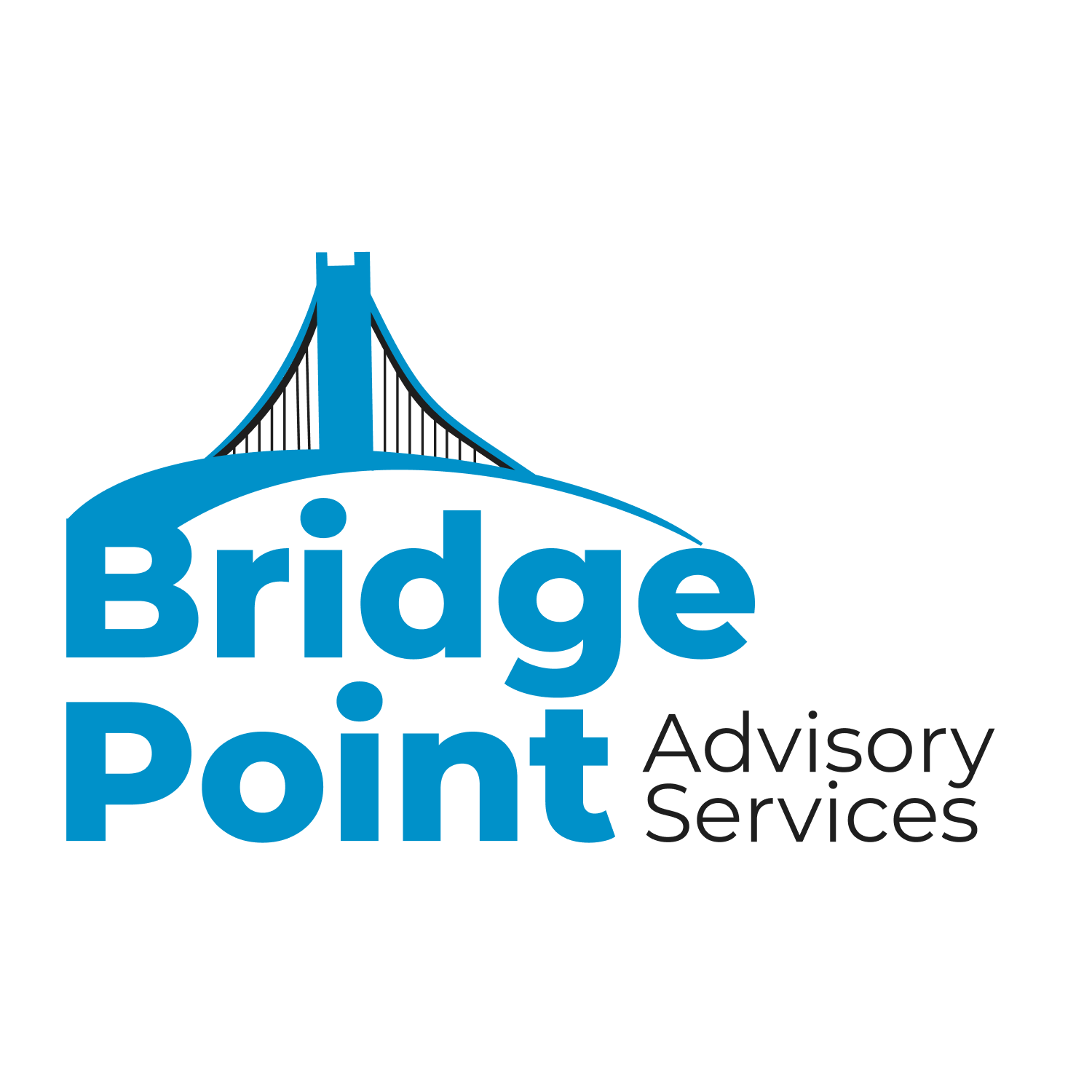 BridgePoint Advisory Services